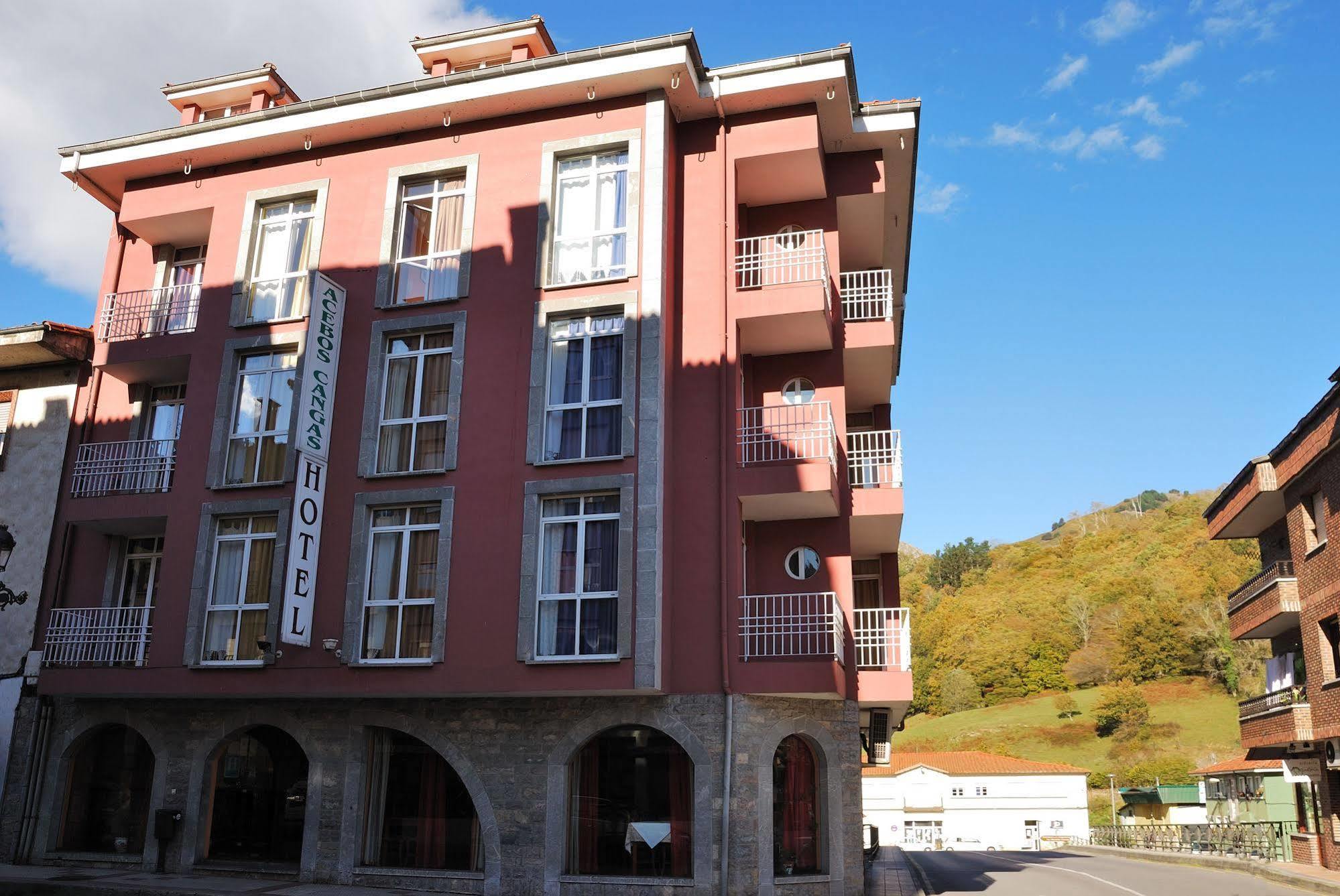 Los Acebos Cangas Кангас-де-Онис Экстерьер фото